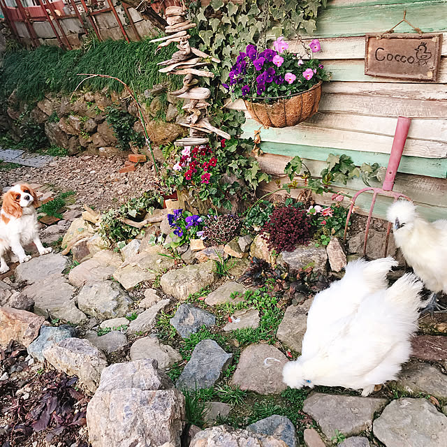 pepeさんの実例写真