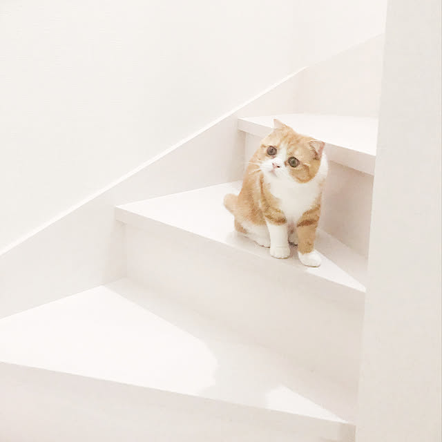 chamihomeさんの実例写真