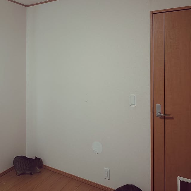 noguriさんの実例写真