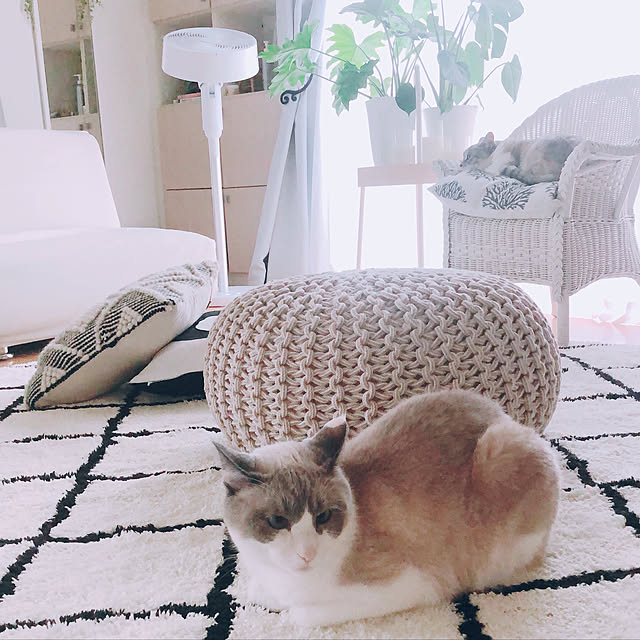 milkcocoaさんの実例写真