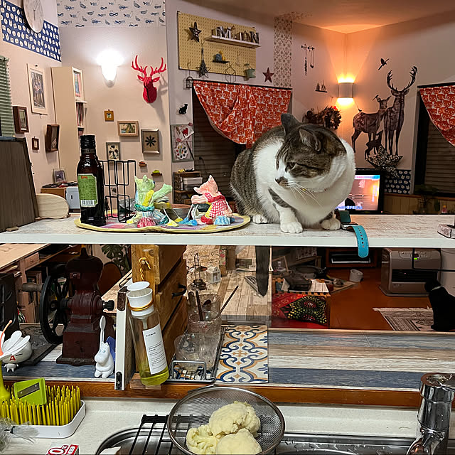 jijiさんの実例写真