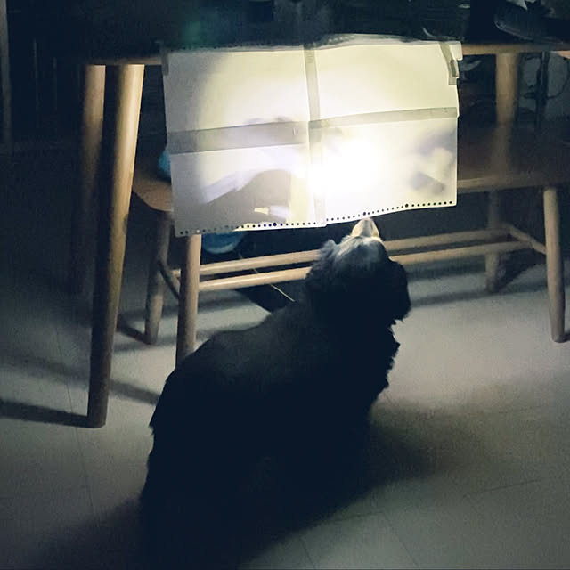 ohanaさんの実例写真