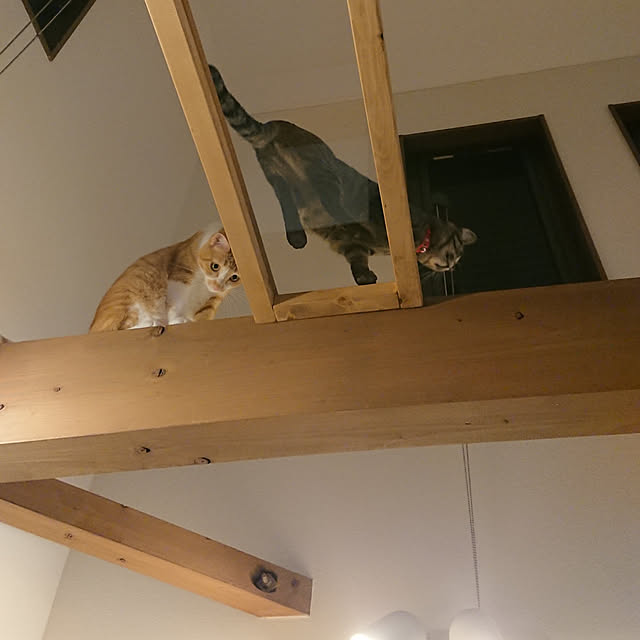 taka-kiさんの実例写真