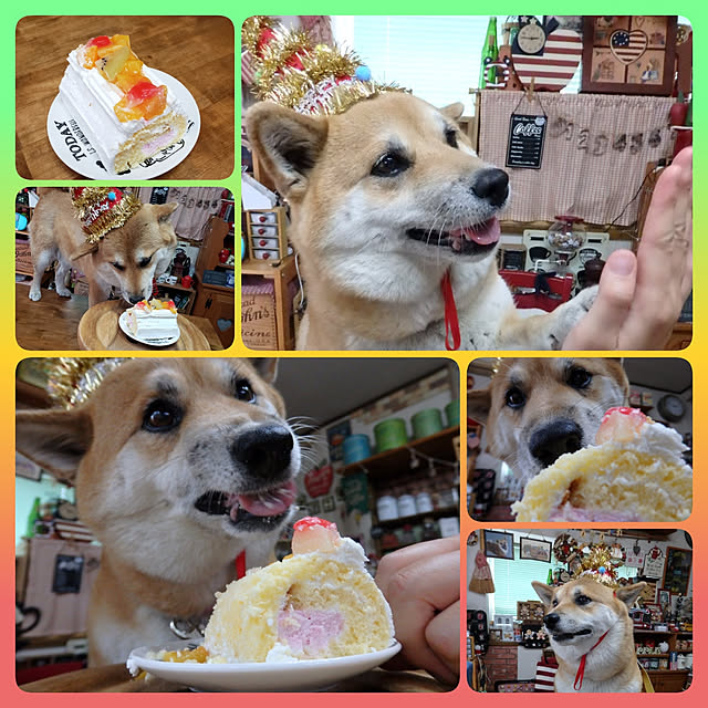 nanaさんの実例写真