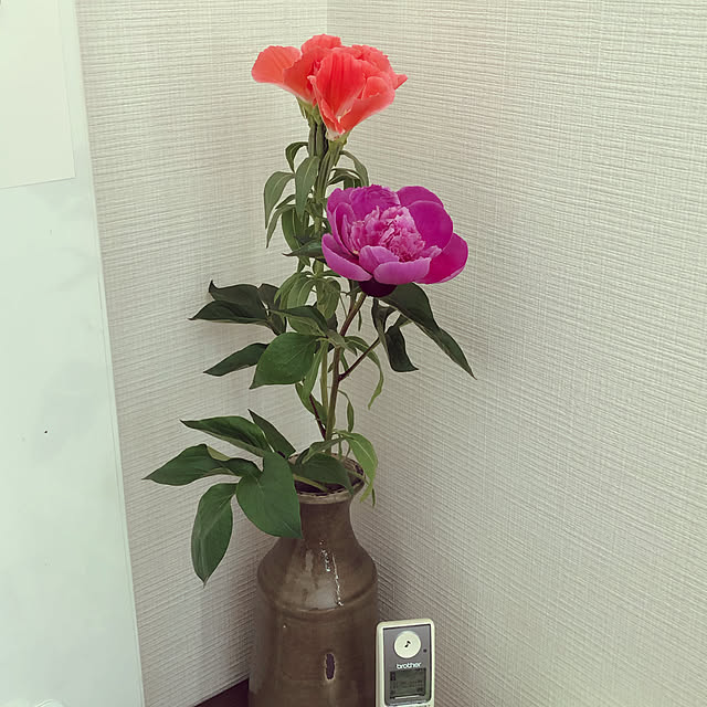 le-nuage-blancさんの実例写真
