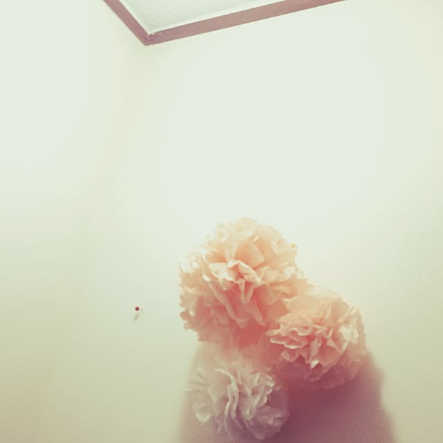 mnm.s2さんの実例写真