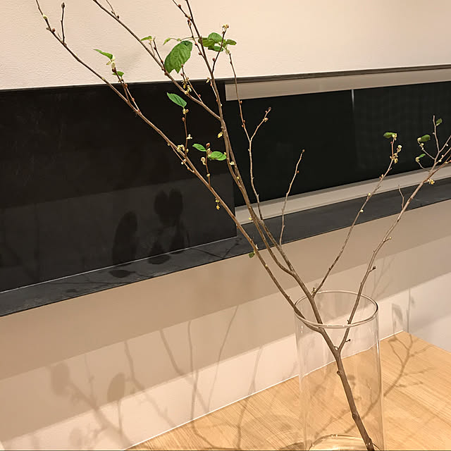 hiroさんの実例写真