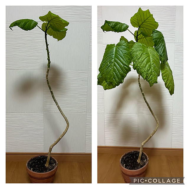 mizucchiさんの部屋