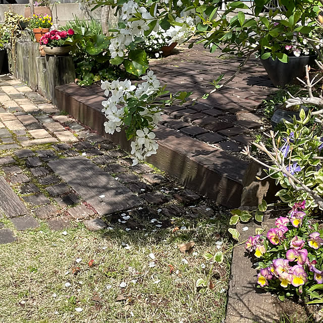 nobikoさんの実例写真