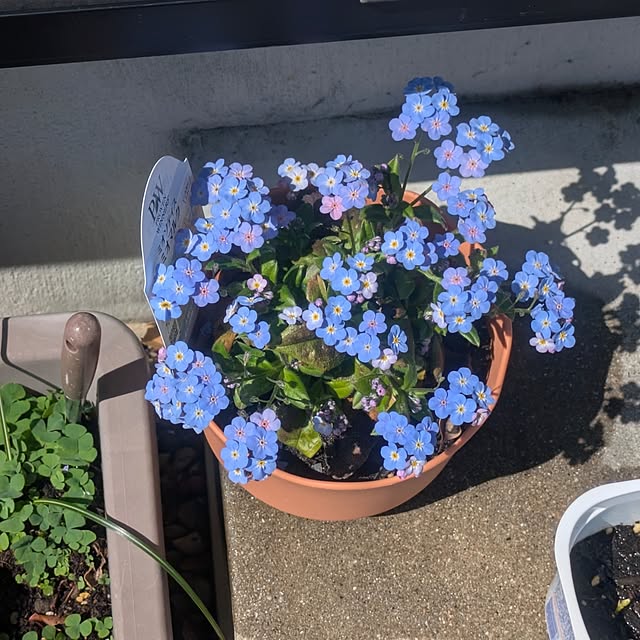 quanshanxia037さんの部屋