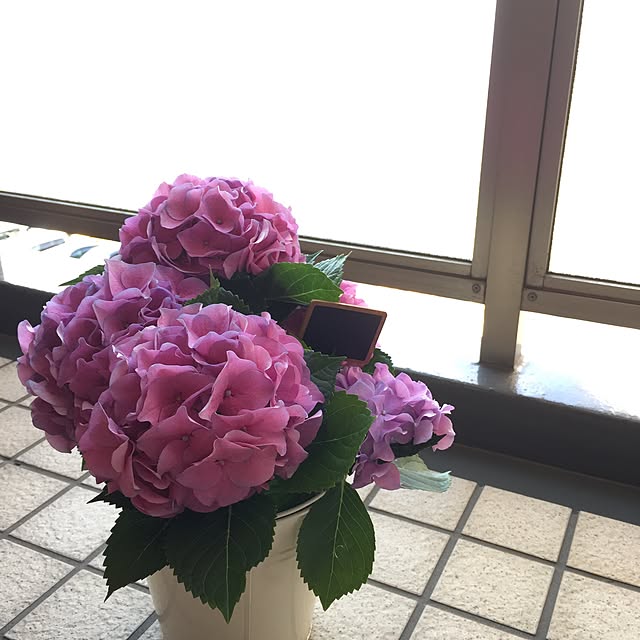 cocoaiさんの実例写真