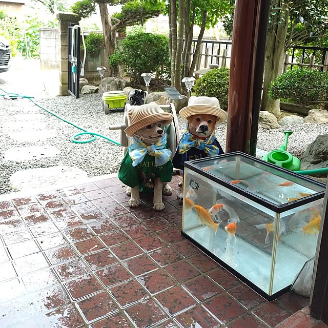 NOAHさんの部屋