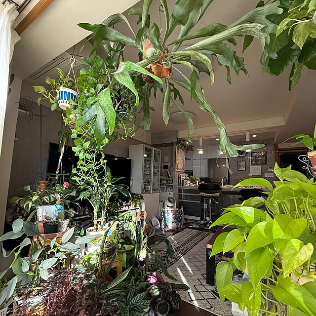 Aqettyさんの実例写真