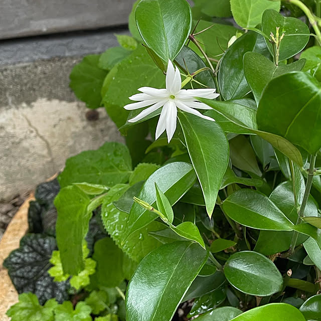 mitowaさんの部屋