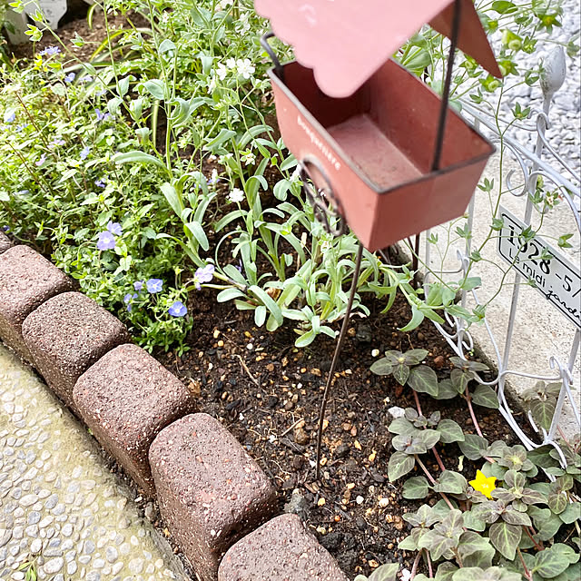 hananokaoriさんの実例写真