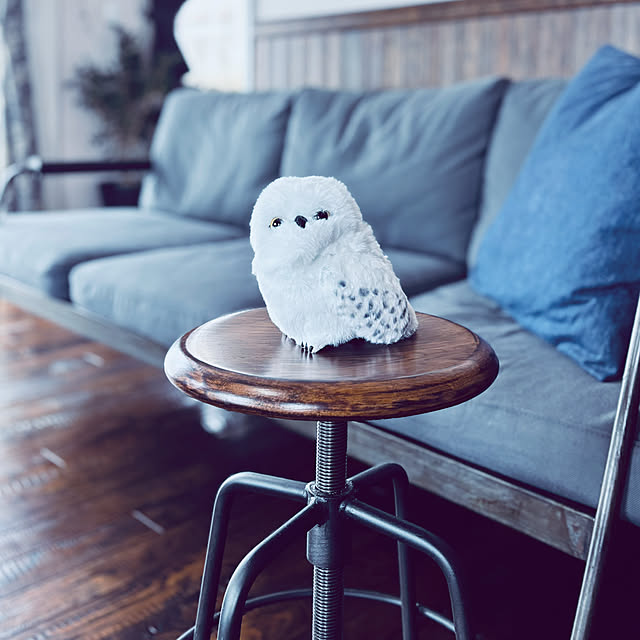 usagiさんの実例写真