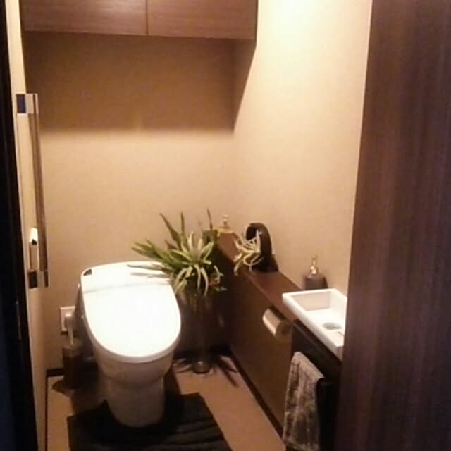 バス/トイレのインテリア実例 - 2016-10-05 12:59:16