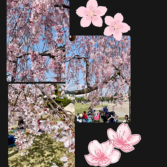 YuuKoさんの部屋