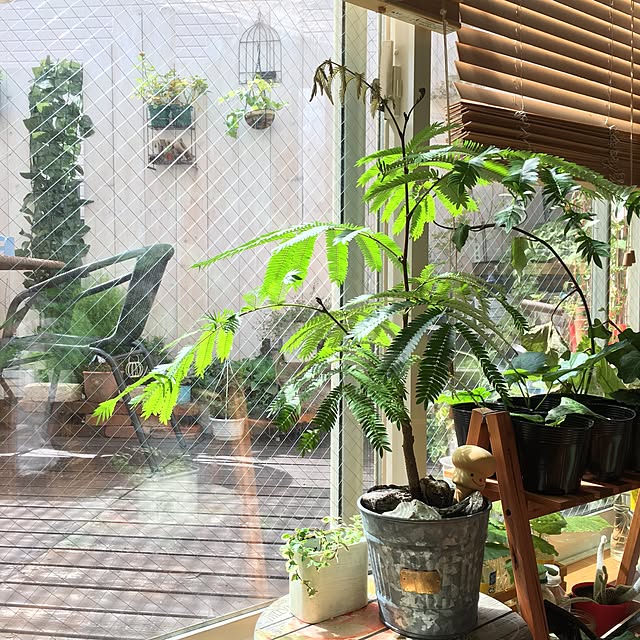 makoriさんの実例写真