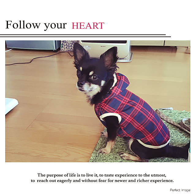 sakuさんの実例写真