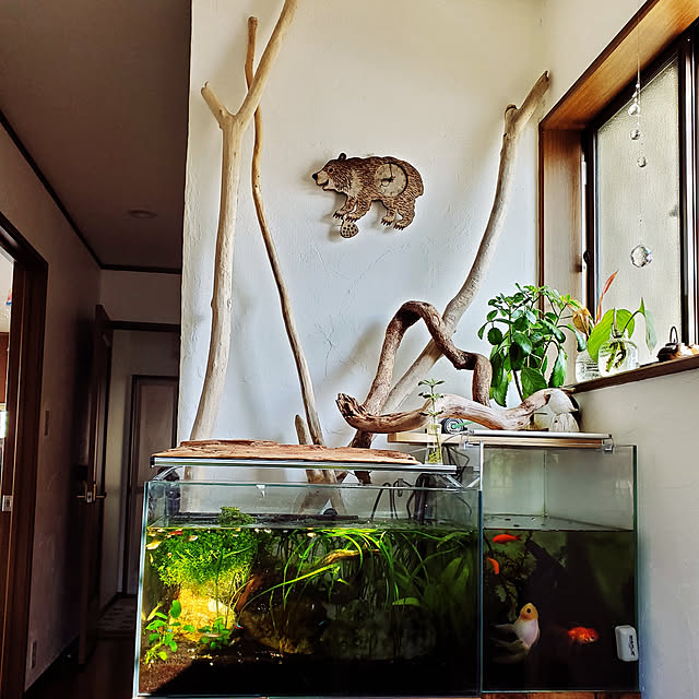 sanさんの実例写真