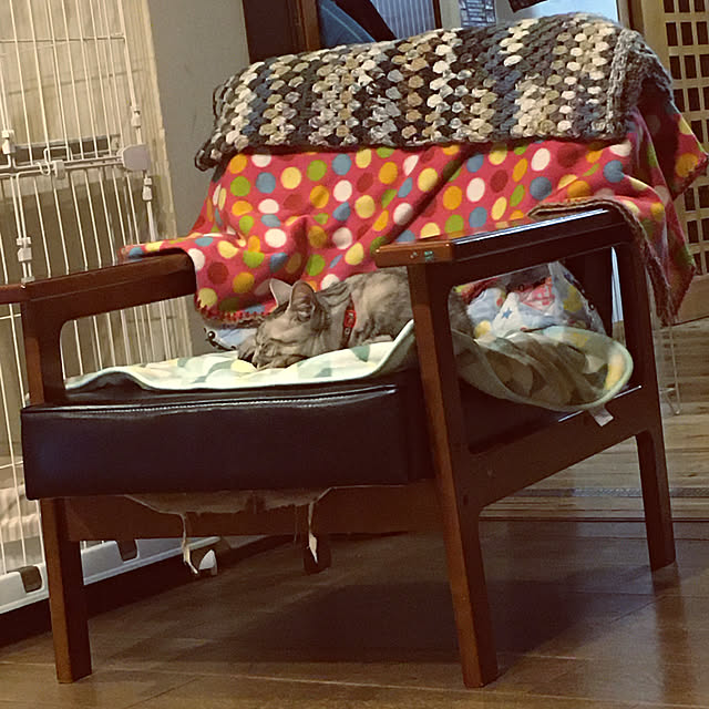 kanakoさんの実例写真