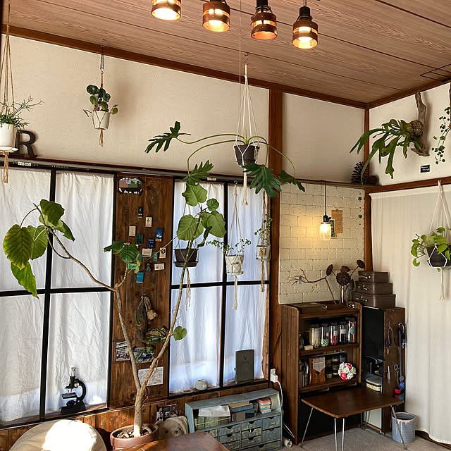 sleeping-dropさんの実例写真