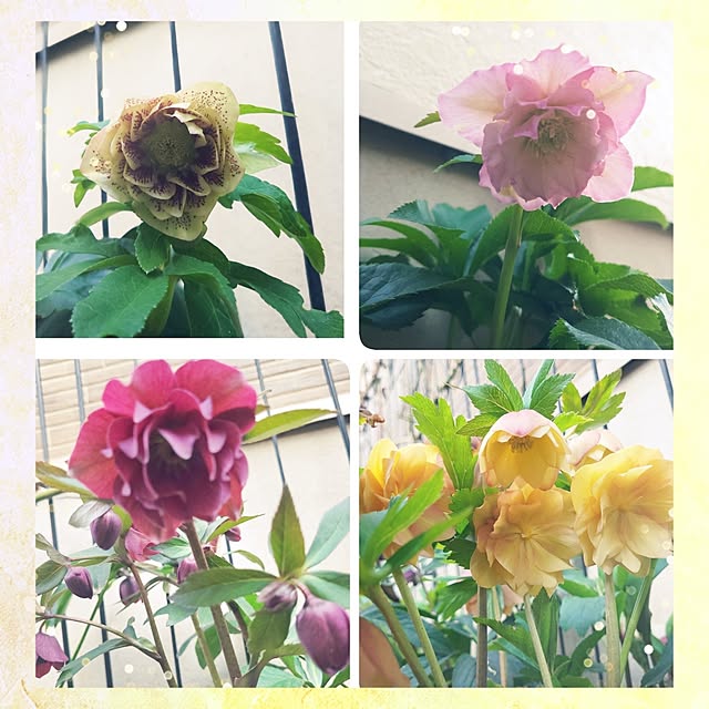 mimi828さんの部屋