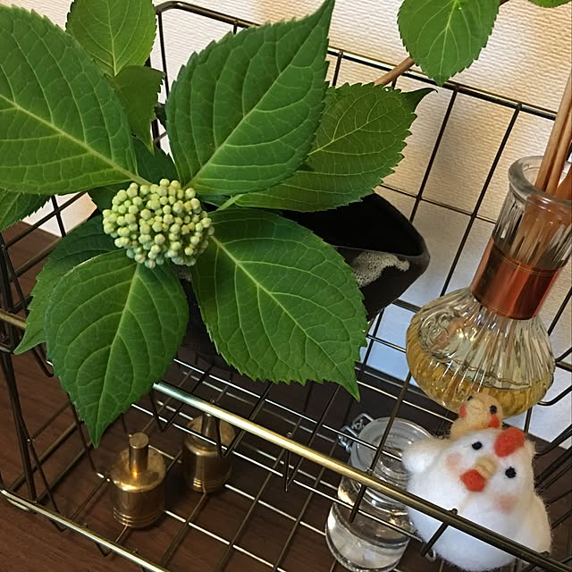 poiさんの実例写真