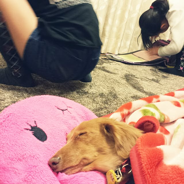 sumireさんの実例写真