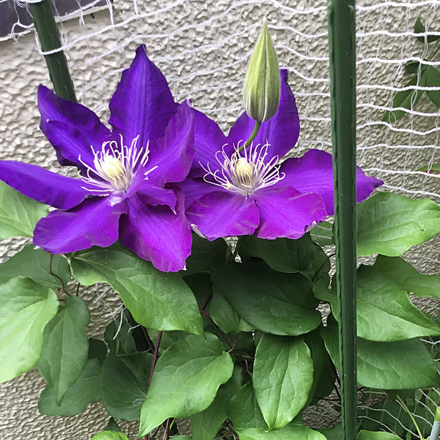 tokuichi999さんの実例写真