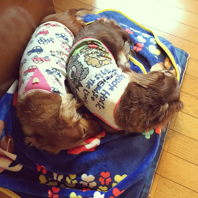 Eikoさんの実例写真