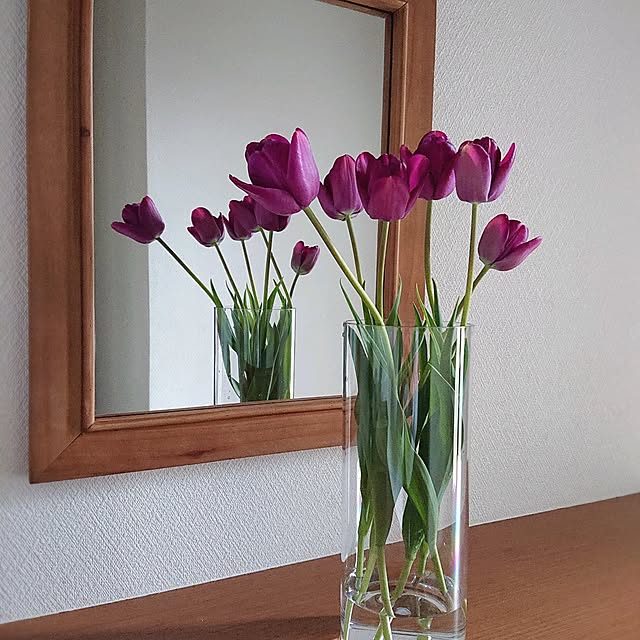 Mi-koさんの実例写真