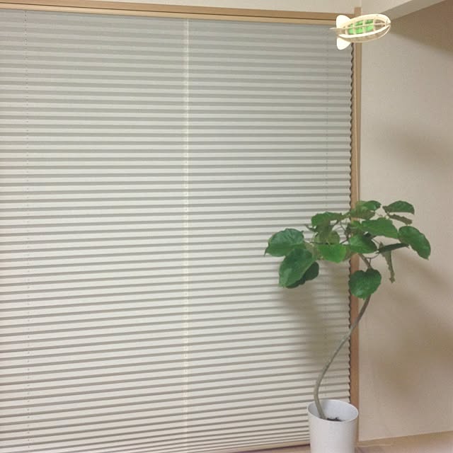 miiさんの実例写真