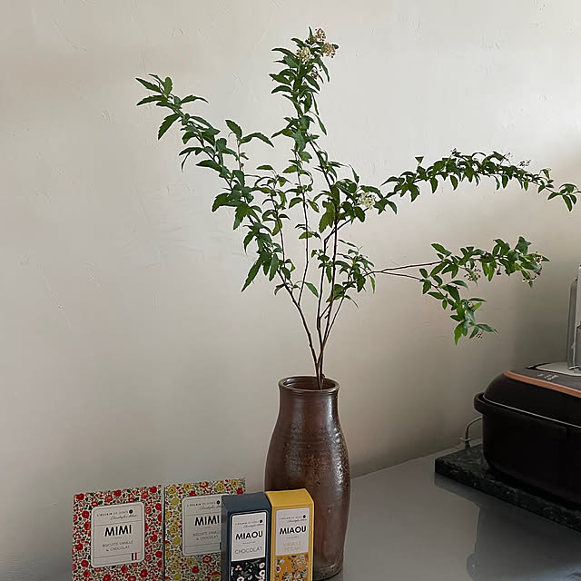 wanchanさんの部屋