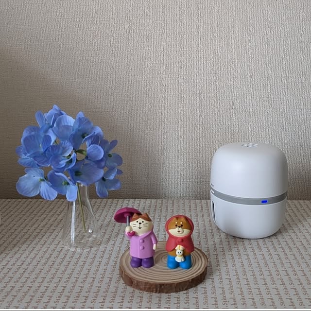 MIKNさんの部屋