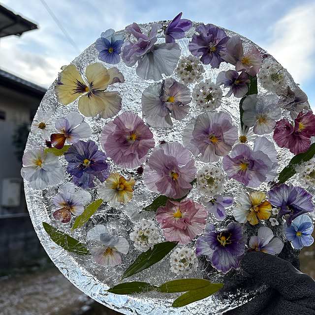 mayumiさんの実例写真