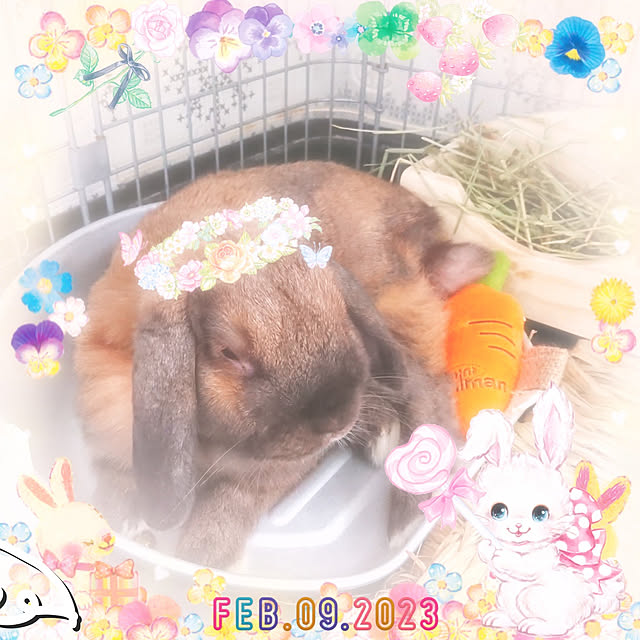 mariaさんの実例写真