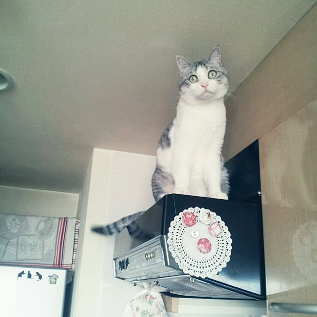 emmyyさんの実例写真