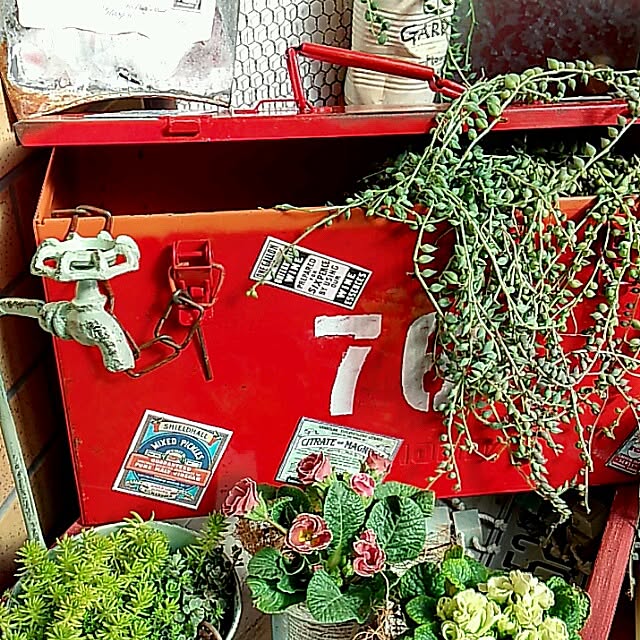 玄関/入り口/植物のインテリア実例 - 2013-10-25 15:17:51