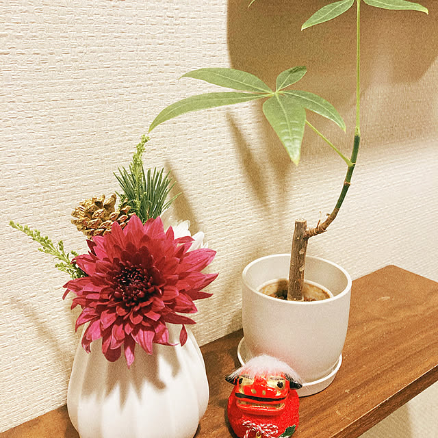 megさんの実例写真