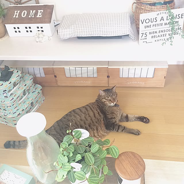 lovecatさんの実例写真