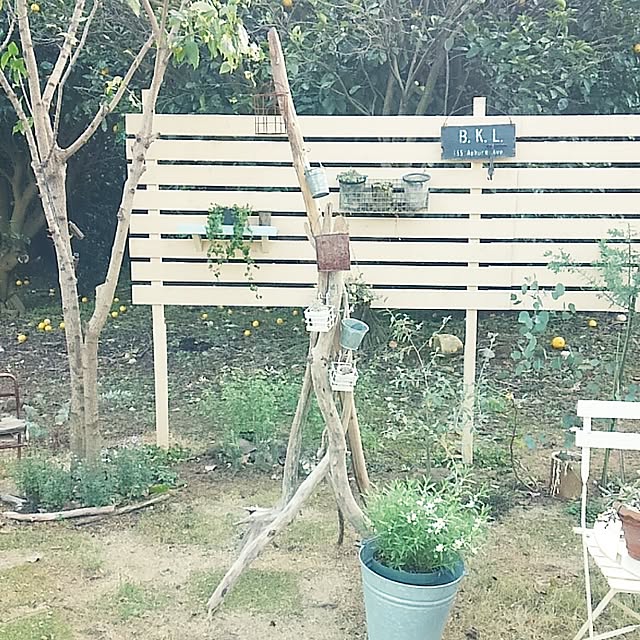 satomiさんの実例写真