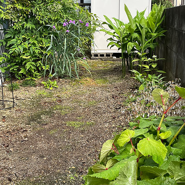 nobikoさんの部屋