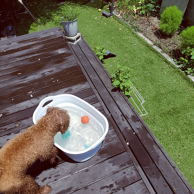 MUCCさんの実例写真