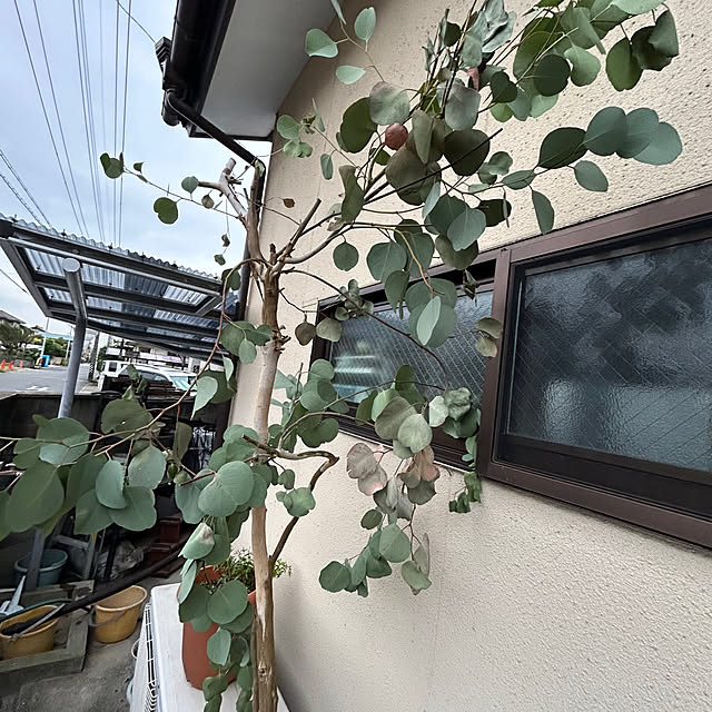 Fuku222さんの部屋