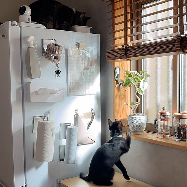 puu.tuuliさんの部屋