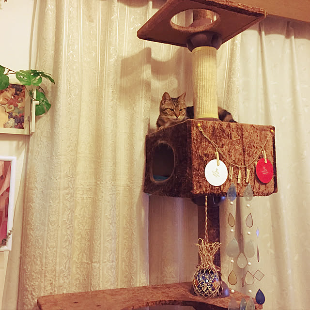 lavie0125さんの実例写真