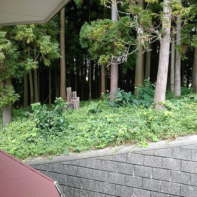 yukariobataさんの実例写真