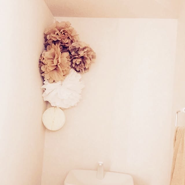 amiさんの実例写真